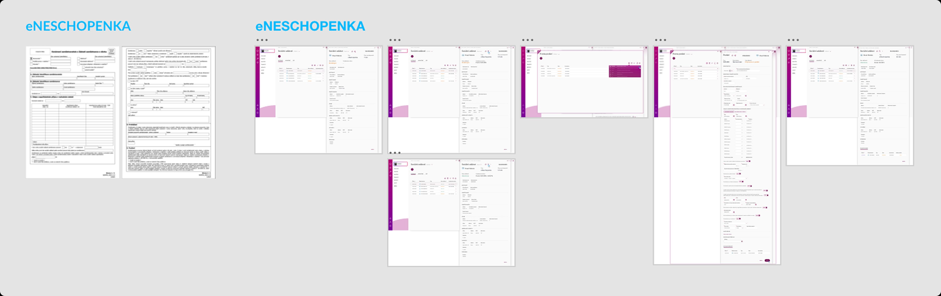 eNeschopenka workflow diagram